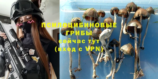 прущая мука Балахна